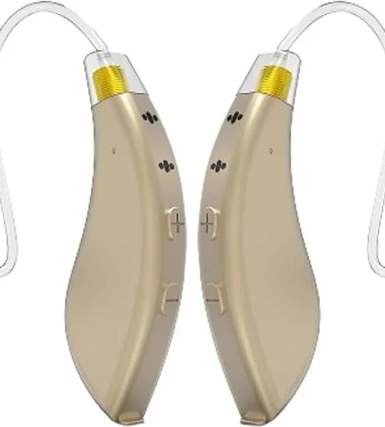 Programmable Hearing Aids