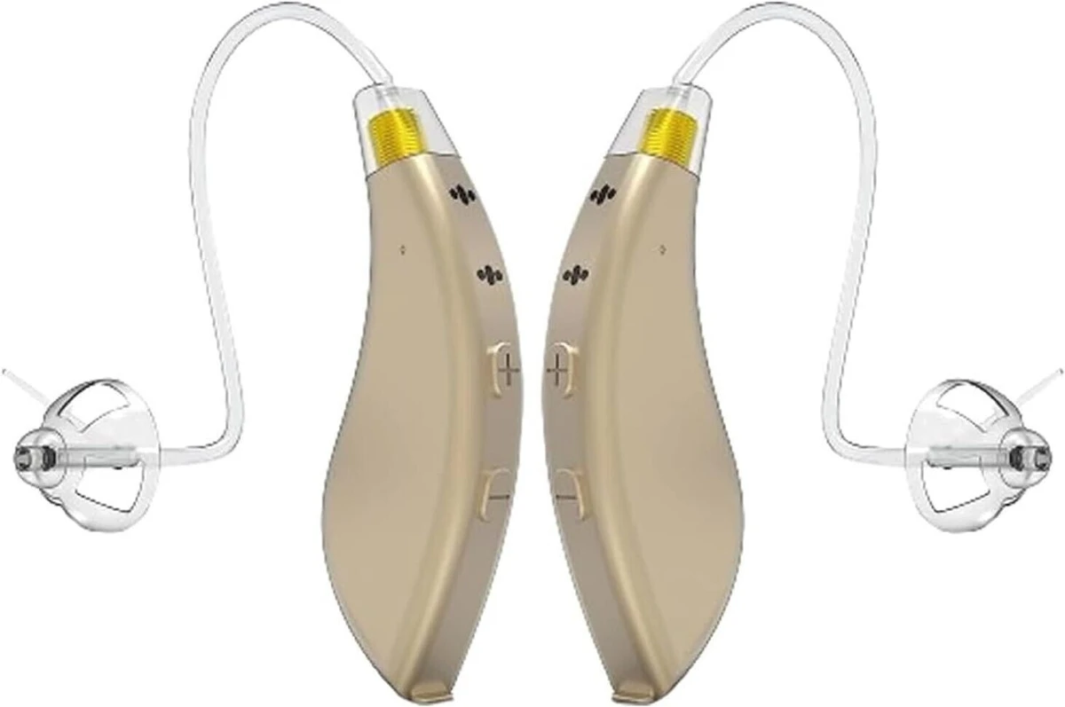 Programmable Hearing Aids